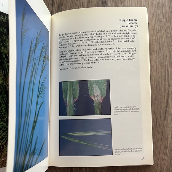 Book: Weeds of the West - Picture 4 of 7